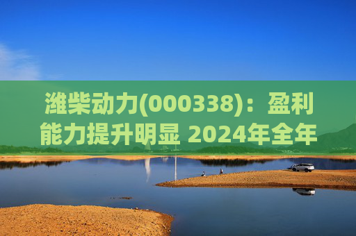 潍柴动力(000338):盈利能力提升明显 2024年全年业绩超预期 第1张 潍柴动力(000338):盈利能力提升明显 2024年全年业绩超预期 第1张