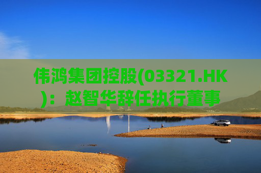 伟鸿集团控股(03321.HK)：赵智华辞任执行董事