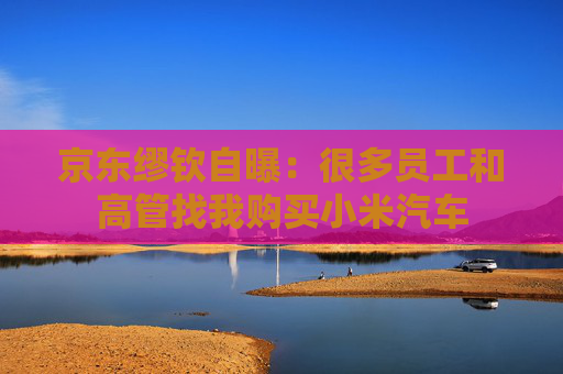 京东缪钦自曝：很多员工和高管找我购买小米汽车