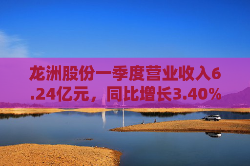 龙洲股份一季度营业收入6.24亿元，同比增长3.40%