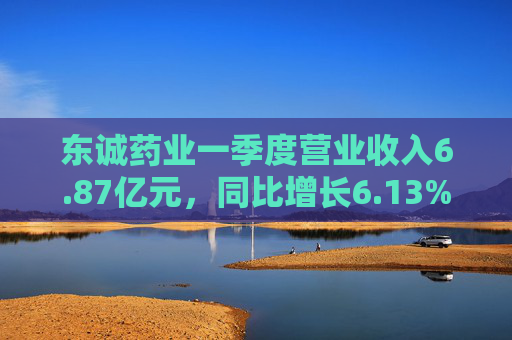 东诚药业一季度营业收入6.87亿元，同比增长6.13%
