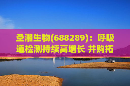 圣湘生物(688289)：呼吸道检测持续高增长 并购拓展成长边界