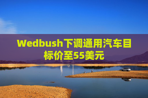 Wedbush下调通用汽车目标价至55美元