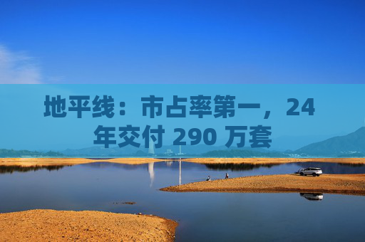 地平线：市占率第一，24 年交付 290 万套