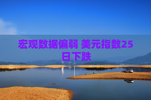 宏观数据偏弱 美元指数25日下跌  第1张