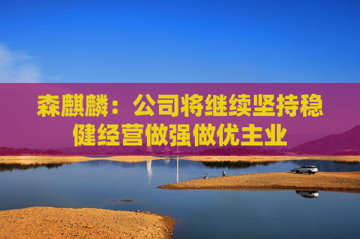 森麒麟：公司将继续坚持稳健经营做强做优主业