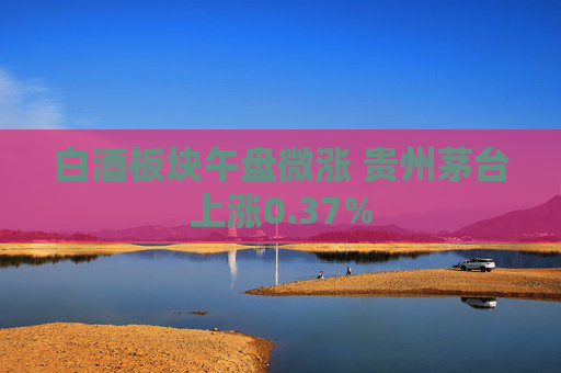 白酒板块午盘微涨 贵州茅台上涨0.37%