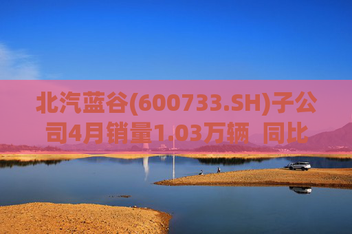 北汽蓝谷(600733.SH)子公司4月销量1.03万辆  同比增长258.33%