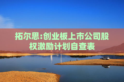 拓尔思:创业板上市公司股权激励计划自查表  第1张