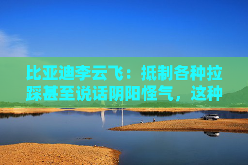 比亚迪李云飞：抵制各种拉踩甚至说话阴阳怪气，这种行为非常讨厌  第1张