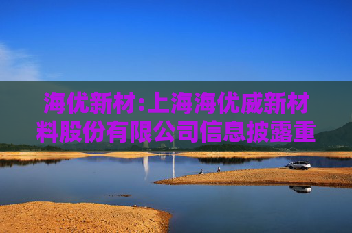 海优新材:上海海优威新材料股份有限公司信息披露重大差错责任追究制度（2025年5月修订）