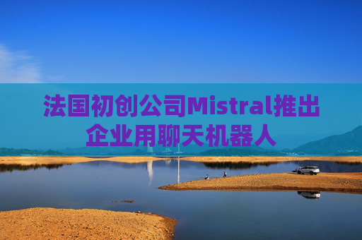 法国初创公司Mistral推出企业用聊天机器人