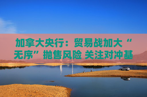 加拿大央行：贸易战加大“无序”抛售风险 关注对冲基金杠杆问题