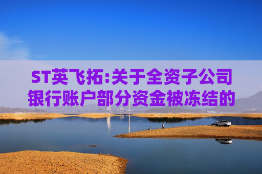 ST英飞拓:关于全资子公司银行账户部分资金被冻结的公告