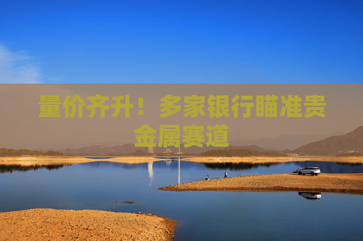 量价齐升！多家银行瞄准贵金属赛道