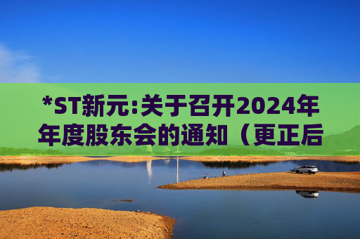 *ST新元:关于召开2024年年度股东会的通知（更正后）