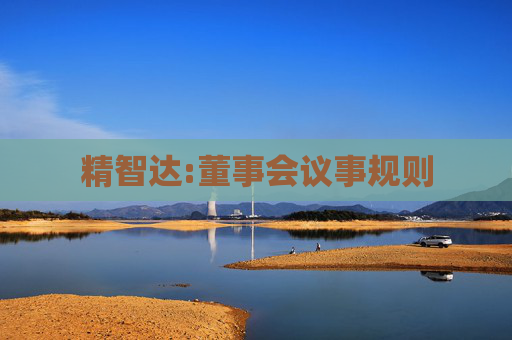 精智达:董事会议事规则