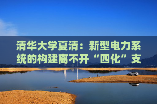 清华大学夏清：新型电力系统的构建离不开“四化”支撑