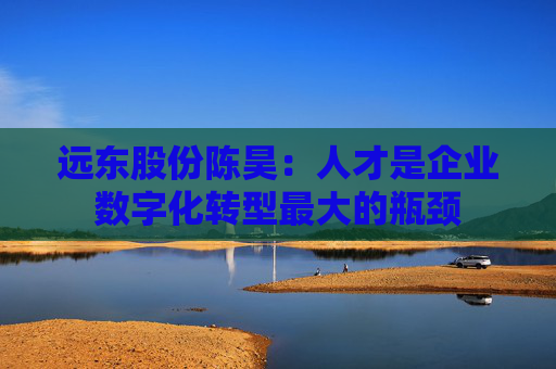 远东股份陈昊：人才是企业数字化转型最大的瓶颈