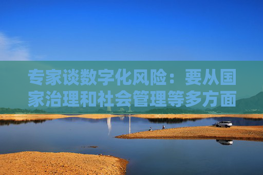 专家谈数字化风险：要从国家治理和社会管理等多方面采取措施