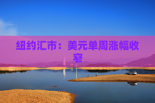 纽约汇市：美元单周涨幅收窄