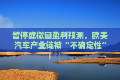 暂停或撤回盈利预测，欧美汽车产业链被“不确定性”包围  第1张