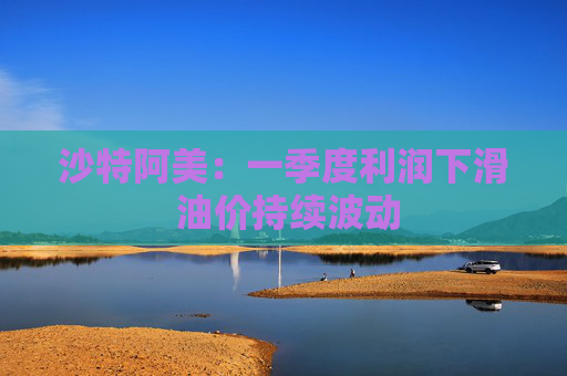 沙特阿美：一季度利润下滑 油价持续波动