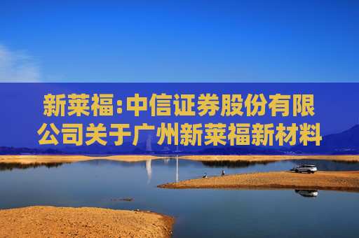 新莱福:中信证券股份有限公司关于广州新莱福新材料股份有限公司2024年度持续督导工作现场检查结果及提请公司注意事项  第1张