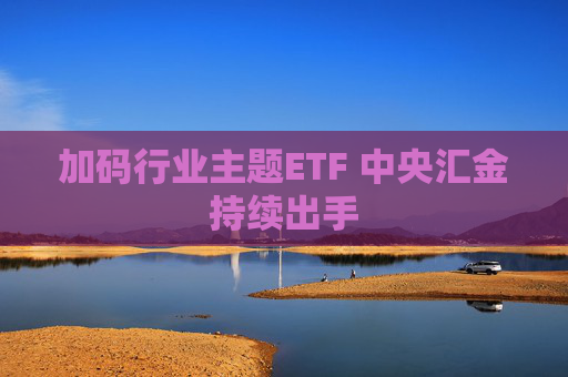 加码行业主题ETF 中央汇金持续出手  第1张