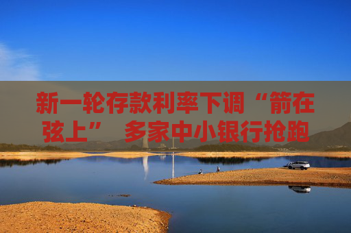 新一轮存款利率下调“箭在弦上”  多家中小银行抢跑压降负债成本