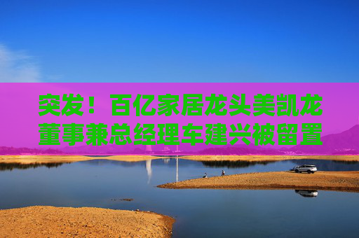 突发！百亿家居龙头美凯龙董事兼总经理车建兴被留置