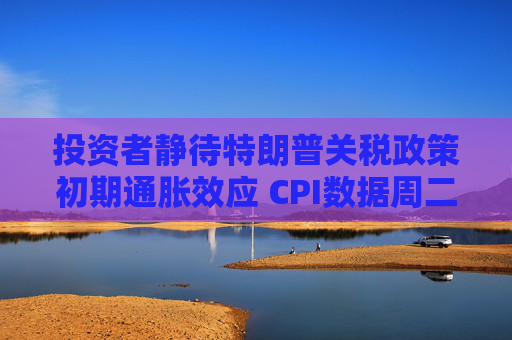 投资者静待特朗普关税政策初期通胀效应 CPI数据周二揭晓  第1张