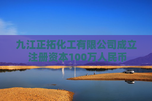 九江正拓化工有限公司成立 注册资本100万人民币  第1张