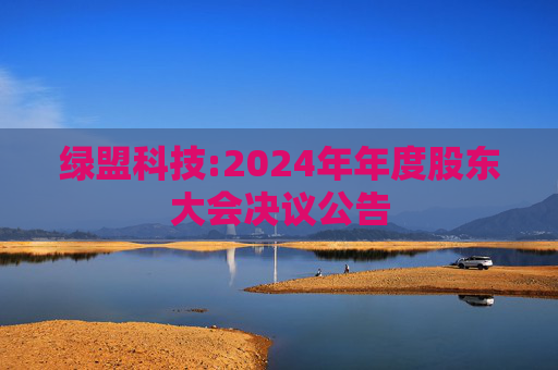 绿盟科技:2024年年度股东大会决议公告