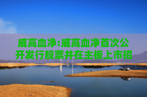 威高血净:威高血净首次公开发行股票并在主板上市招股说明书提示性公告