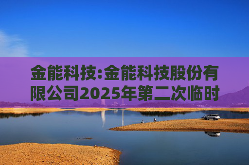 金能科技:金能科技股份有限公司2025年第二次临时股东大会决议公告