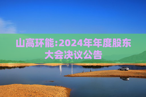 山高环能:2024年年度股东大会决议公告