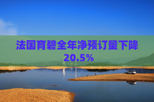法国育碧全年净预订量下降 20.5%