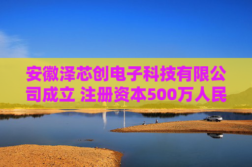 安徽泽芯创电子科技有限公司成立 注册资本500万人民币