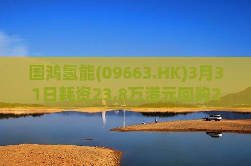国鸿氢能(09663.HK)3月31日耗资23.8万港元回购2.65万股