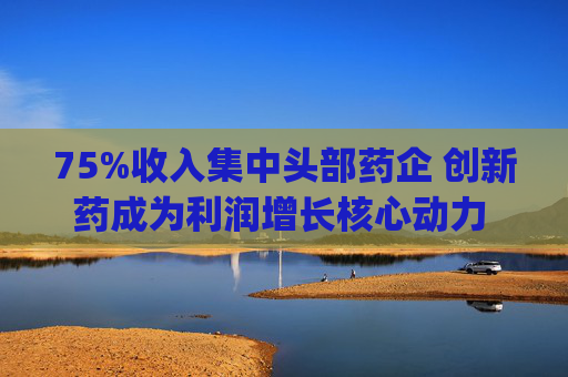 75%收入集中头部药企 创新药成为利润增长核心动力 | 2024制药行业年报