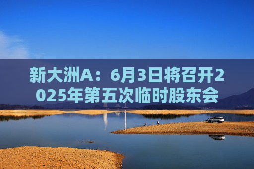 新大洲A：6月3日将召开2025年第五次临时股东会