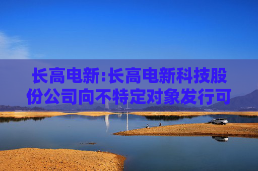 长高电新:长高电新科技股份公司向不特定对象发行可转换公司债券发行方案的论证分析报告（二次修订稿）
