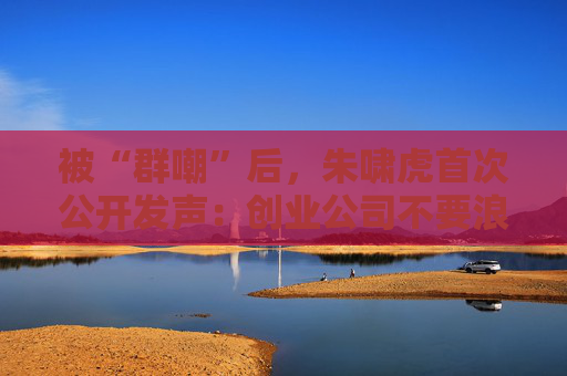 被“群嘲”后，朱啸虎首次公开发声：创业公司不要浪费一分钱训练底层模型  第1张