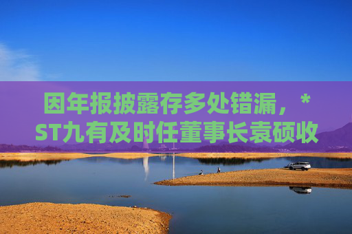 因年报披露存多处错漏，*ST九有及时任董事长袁硕收上交所监管警示函