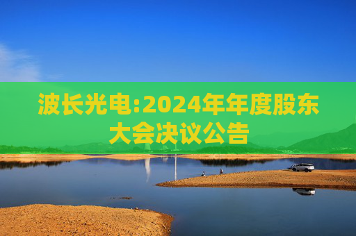 波长光电:2024年年度股东大会决议公告