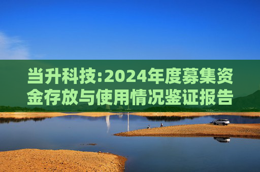 当升科技:2024年度募集资金存放与使用情况鉴证报告