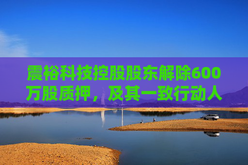 震裕科技控股股东解除600万股质押，及其一致行动人累计质押1966万股