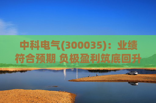 中科电气(300035)：业绩符合预期 负极盈利筑底回升