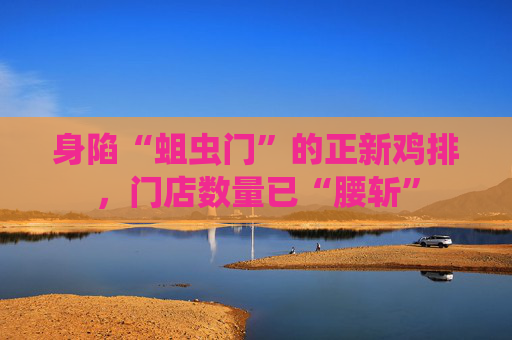 身陷“蛆虫门”的正新鸡排，门店数量已“腰斩”